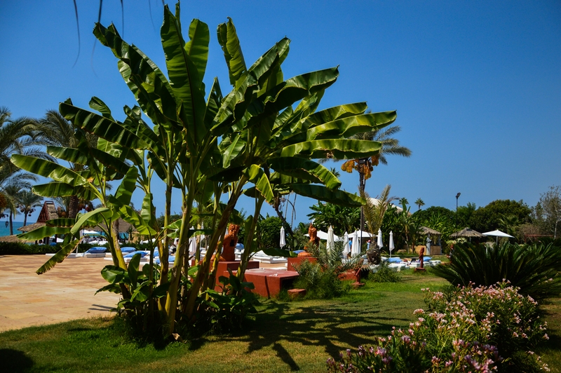 Pool Party at Janna Sur Mer